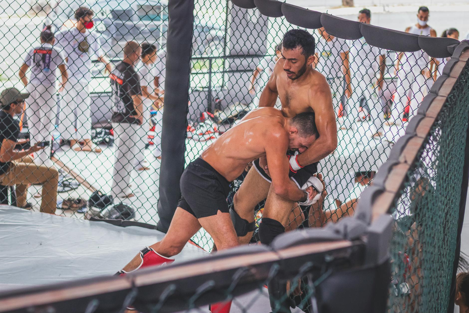 Hai võ sĩ MMA thi đấu trong lồng bát giác